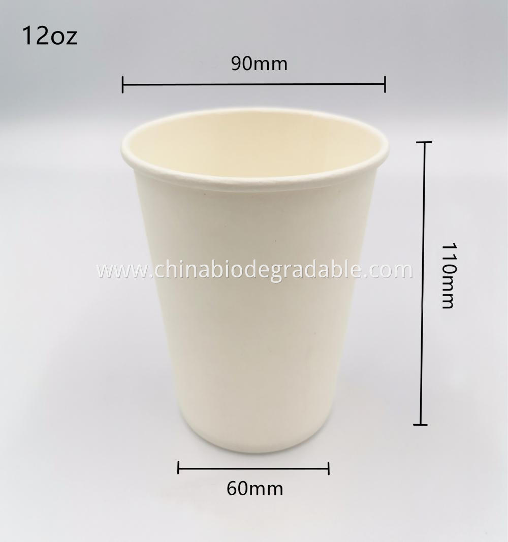 12oz PLA Biodegradable Hot Coffee Cup